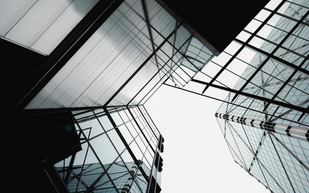 From Local Clients to Large-Scale Campaigns: Building Trust Through Delivery