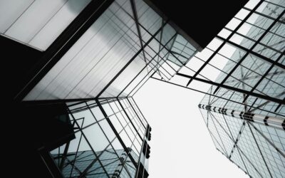 From Local Clients to Large-Scale Campaigns: Building Trust Through Delivery